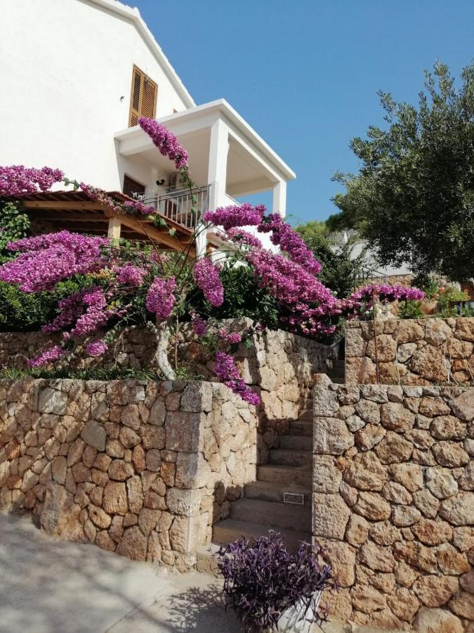 Apartmani Nila Sveta Nedelja  Εξωτερικό φωτογραφία