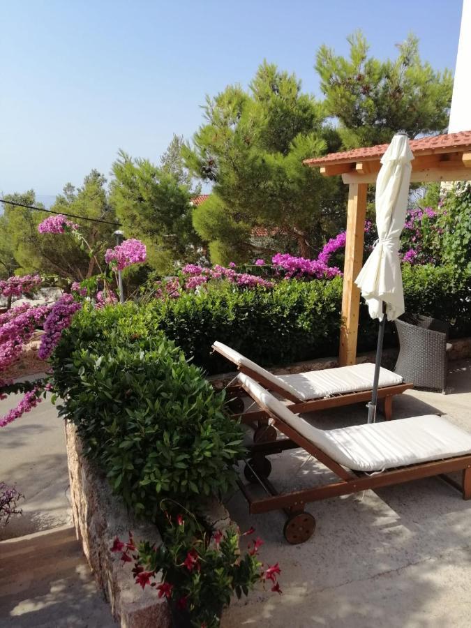Apartmani Nila Sveta Nedelja  Εξωτερικό φωτογραφία